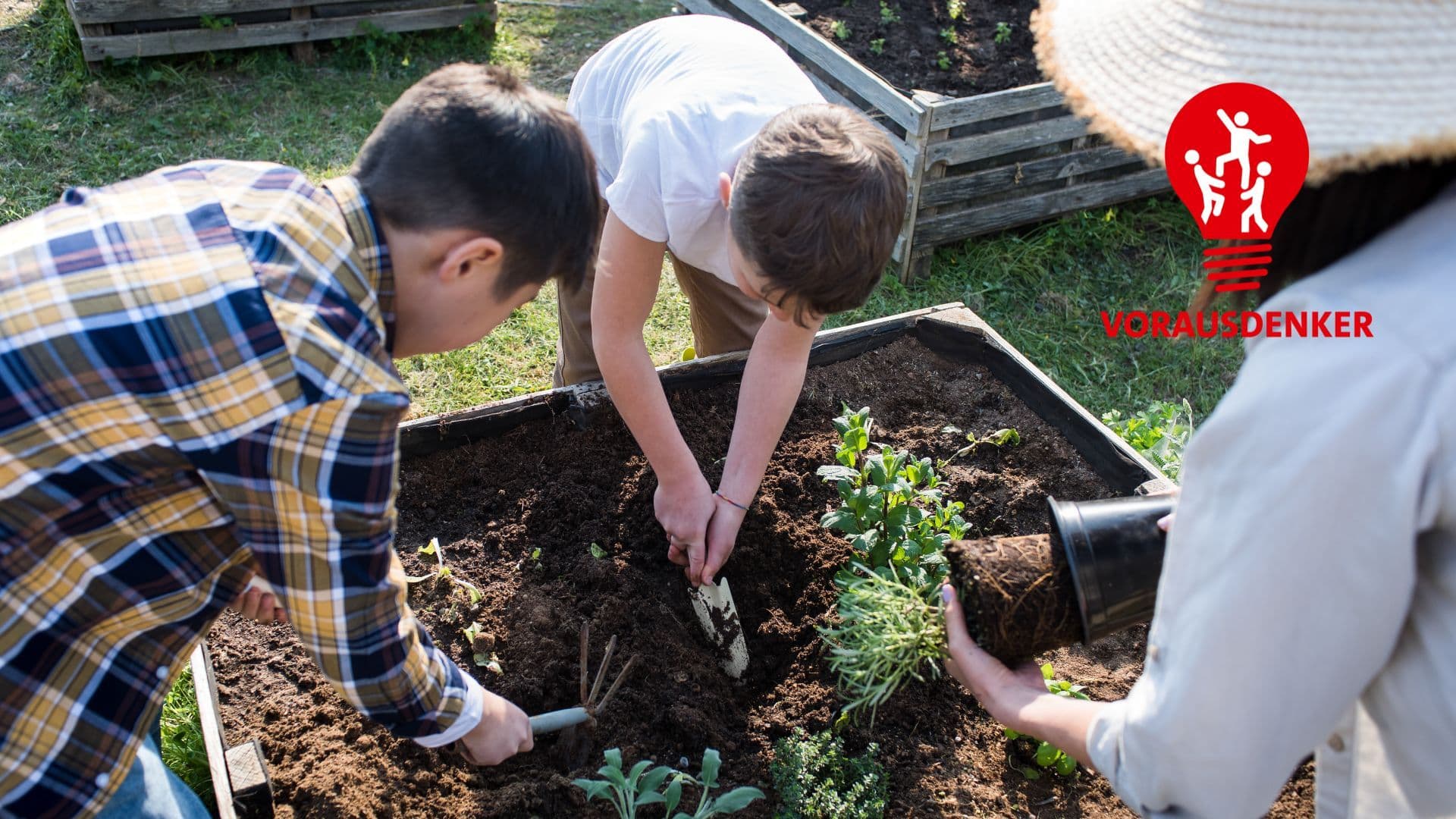 Kinder pflanzen gemeinsam Gemüse in einem Hochbeet im Garten ein.