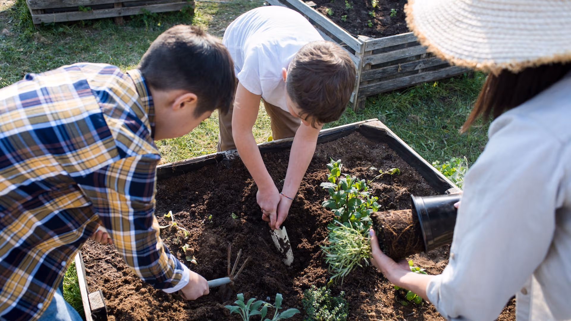 Kinder pflanzen gemeinsam Gemüse in einem Hochbeet im Garten ein.
