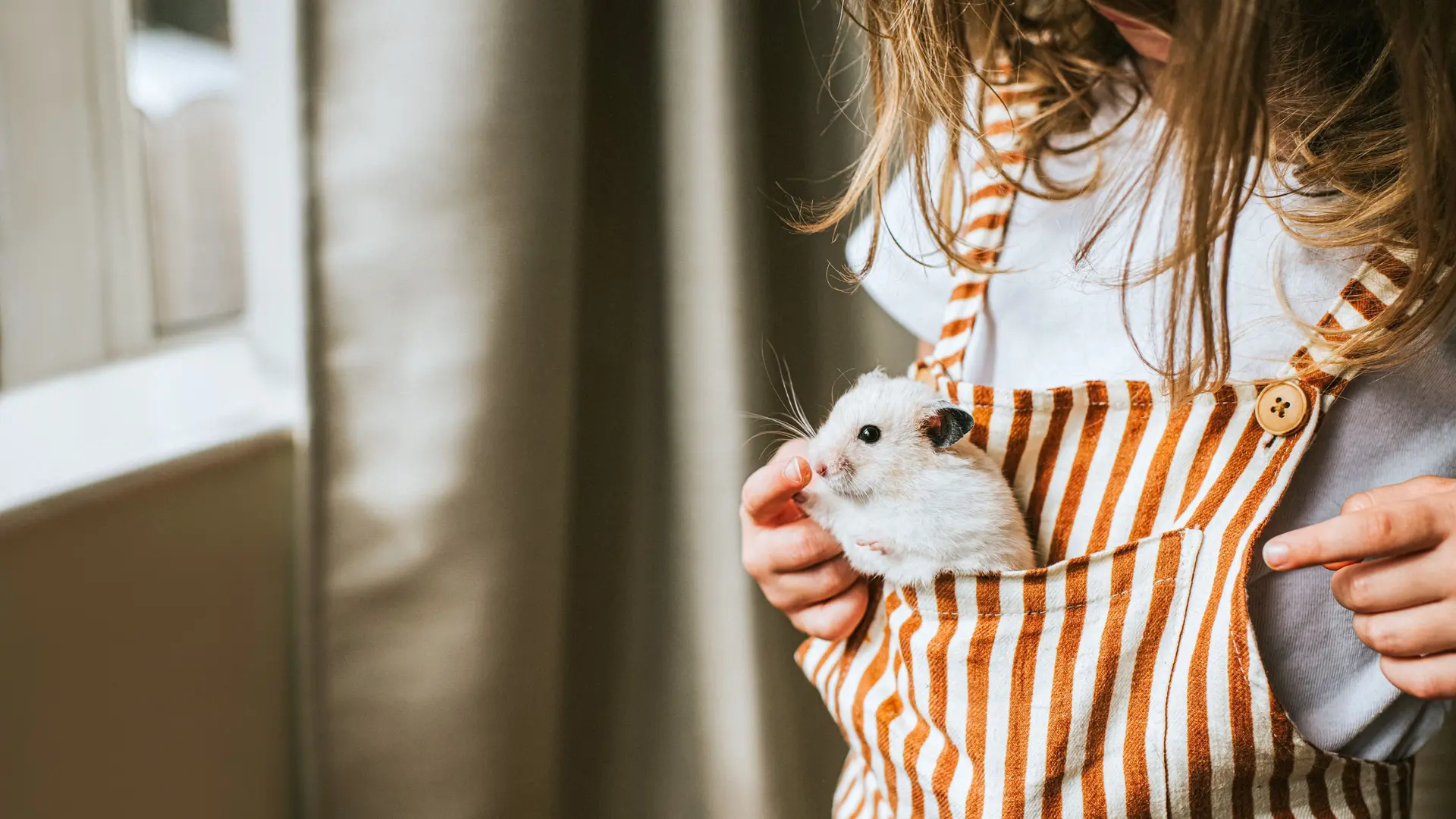 Nahaufnahme eines Kindes in Latzhose mit einem weißen Hamster in der Bauchtasche. 